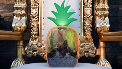 'Gary' the pet snail sits on his shrine before the unveiling event. Reuters