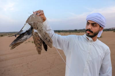 The falcons are trained using lures made of houbara feathers to mimic their prey. Victor Besa / The National