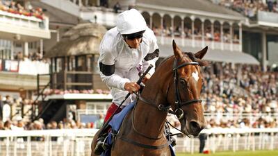 Jockey Frankie Dettori rides Furia Cruzada in August, 2016. Steven Cargill / Racingfotos.com