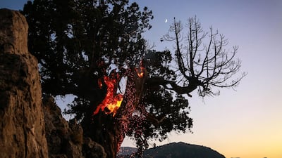A burning juniper tree Jird Meshmesh, in Lebanon’s Akkar region. Khaled Taleb for The National