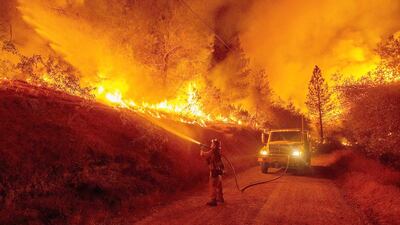 A firefighter battles a blaze near San Andreas, California. Wildfires have burned in the drought-stricken western state throughout the summer, destroying hundreds of homes and displacing thousands of people.Josh Edelson / AFP