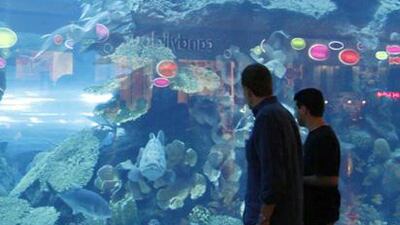Dubai Mall attractions including Dubai Aquarium and Underwater Zoo, Dubai Ice Rink, Kidzania and Sega Republic. Jumana El Heloueh / Reuters