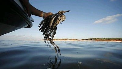 Microbigs: Berlusconi, Merkel, Sarkozy, Obama and Kim Jong-il by Ansen.