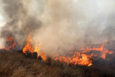 epa06786264 Fire that ignited at a field as a result of a Molotov cocktail kite that was sent from Gaza Strip few kilometers from the border with Gaza near Kibbutz Or Haner, in southern Israel, 05 June 2018. Media reports that after a cease-fire was achieved betweeen Israeli military and Palestinian militants in Gaza on 29 May 2018 Palestinians from Gaza continue to send Molotov kites to the Israeli territory and cause damage to thousands of acres of agriculture and nature reserves in Israel as Palestinians mark the 'Naksa Day' or the so-called Six-days war. EPA/ABIR SULTAN