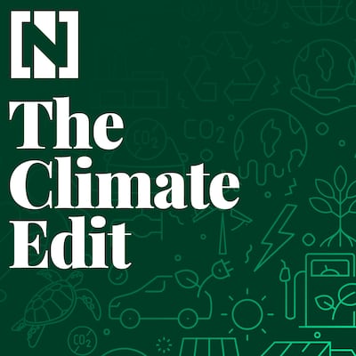 THE CLIMATE EDIT NEWSLETTER - NEW ARTWORK 2024