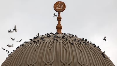 Birds of a feather gather as the rain falls in Satwa, Dubai. Chris Whiteoak / The National