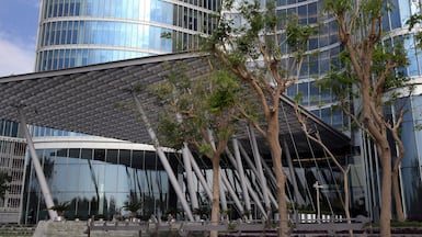 Adia is one of the world's largest investment funds. The National