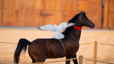 Tradition and national symbolism were at the heart of the celebrations