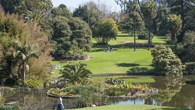 Waterways in the Royal Botanic Gardens.