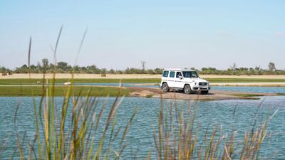 Sheikh Mohammed bin Rashid, Vice President and Ruler of Dubai, takes Sheikh Mohamed bin Zayed, Crown Prince of Abu Dhabi and Deputy Supreme Commander of the Armed Forces, out for a tour of Al Marmoom Lakes on Monday. Courtesy: Sheikh Mohammed bin Rashid Twitter
