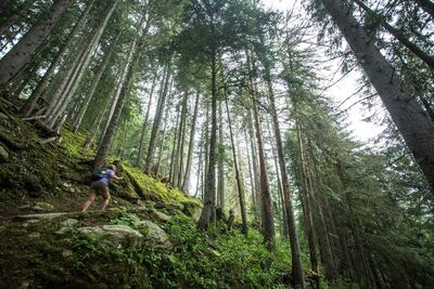 Hiking through a forest on the Tour du Mont Blanc. Stuart Butler.