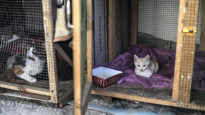 The group's work is funded mainly by donations from people in Gaza. Majed Mahmoud