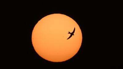 Sunrise in Kuwait City. AFP