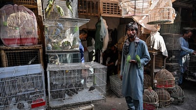 A bird vendor holds two Indian ringneck parrots as he waits for customers in the market.