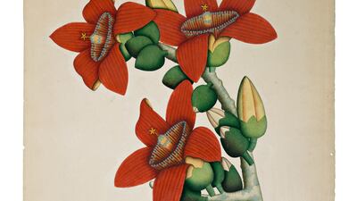 'A Botanical Study of a Silk Cotton Tree (Bombax Ceiba)', Company School, Calcutta, circa 1800-20 (est £20,000-£30,000). Photo: Sotheby's