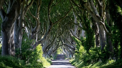 This scenic avenue of beech trees at Dark Hedges was used as a location for the Kingsroad in Game of Thrones, and has become a draw for tourists from around the world.