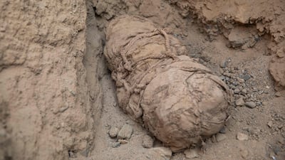 The mummies are between 800 and 1,000 years old. AFP