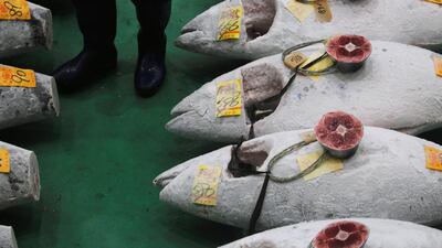 Frozen tuna on display during the Toyosu fish market's first tuna auction of 2019 in Tokyo, Japan. Reuters