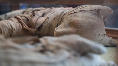 A mummified lion is displayed at the exhibition, which was unveiled on Saturday. EPA