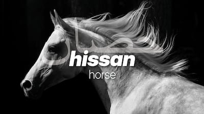 The Arabic word for hissan can have more than origin. Photo: The National