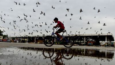 A puddle reflects a boy riding his bicycle through a flock of pigeons in Jalandhar, northern India. AFP