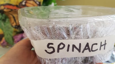 Step 7: Cover the whole pot in clingfilm, to make a miniature greenhouse, and then put it on the windowsill or balcony, in the sun. Don't forget to label it.