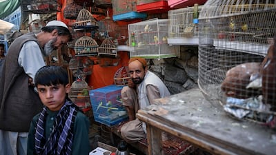 Bird vendors waiting for customers.