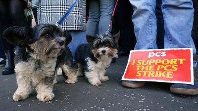 Dogs join members of the PCS union on the picket line in Glasgow. PA