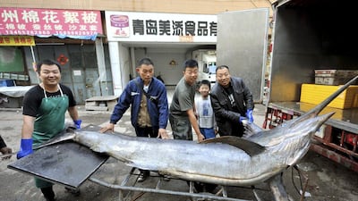 Seafood vendors pose for photographs with a giant swordfish after unloading it from a truck, in Qingdao, Shandong province. The 4.1-metre long swordfish, weighed about 309.5 kilogrammes, was caught by local fishermen, local media reported. Reuters