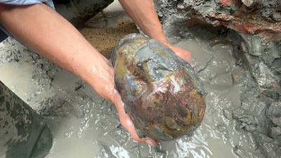 Thanks to the mud that protected them over the years, the two dozen bronze figurines and objects were found perfectly conserved. EPA