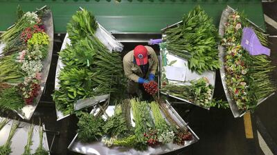 Colombia is the world’s second-largest flower exporter behind the Netherlands. Jose Miguel Gomez / Reuters