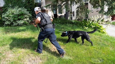 A dog searches the school grounds. Reuters