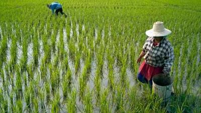 The Thai government has moved swiftly to prevent foreigners owning farmland after a storm of protest at what some called a land grab.