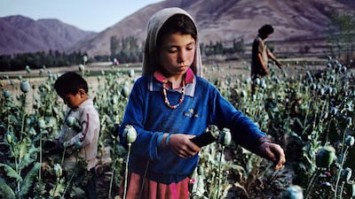 Children work in opium field in Badakhshan, 1992. Copyright ©Steve McCurry / Magnum Photos