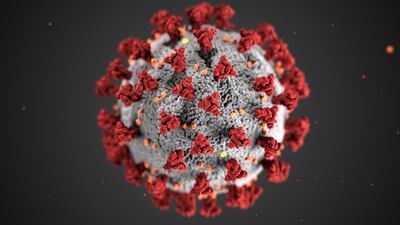 The Society for Disaster Medicine and Public Health is arguing that the term pandemic is an insufficient and dangerous way of looking at coronavirus. CDC