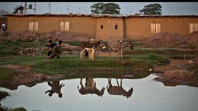 Afghan refugee boys try to get donkeys standing near a mosque to move, on the outskirts of Islamabad, Pakistan. Muhammed Muheisen / AP Photo