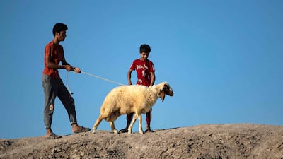 A man walks with a sheep on a leash in Iraq's southern city of Basra on Tuesday, ahead of Eid Al Adha. AFP