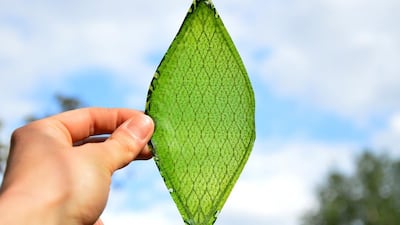 Silk Leaf from Royal College of Art (RCA): The RCA is a postgraduate school of arts based in London, England. The college will unveil three projects at the show, featuring some of the world’s most-promising new technologies. These include Silk Leaf, a technology that mimics the natural process of photosynthesis, producing oxygen when provided with light and water, which is expected to have far-reaching effects in air purification in urban environments.