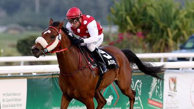Tadhg O'Shea guides RB Dixie Burning for trainer Ernst Oertel to the win in Race3 at the Abu Dhbai Equestrian Club on March 9, 2014. Satish Kumar / The National