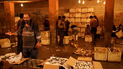 Iraqi fish vendors show their wares