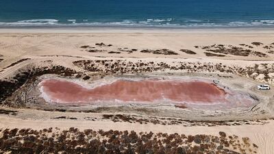 Scientists from the Environment Protection and Development Authority in Ras al Khaimah have taken samples to find out why the lake is pink. Pawan Singh / The National