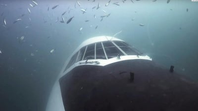 Dive Bahrain opened to the public on September 7, 2019. Courtesy Padi