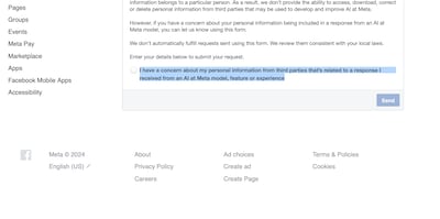 Meta makes it possible for US users to report concerns about personal information being used for AI models, but there's no simple way to opt out. Photo: Meta