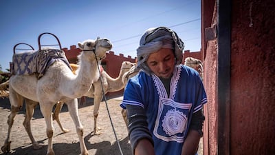 Camels were also included in the training session in Marrakesh. They have long been part of classic desert backdrops for big-budget films shot in Morocco. AFP