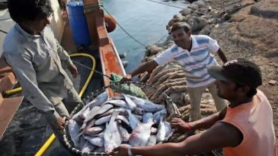 With a rapid rise in consumer demand for fresh fish, current catch levels are greater than the UAE's coastlines can sustainably provide. Amy Leang / The National