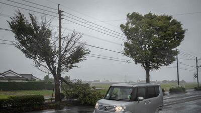 A tree felled by strong winds in Izumi, Kagoshima prefecture. AFP