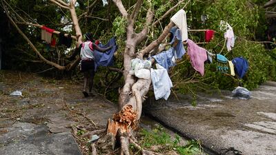 A woman hangs clothes to dry on a tree toppled by strong winds in the aftermath of Hurricane Melissa, in Santiago, Cuba. Reuters
