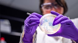 Official figures show 56 per cent of the UAE's Stem graduates are women. Getty Images