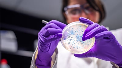 Official figures show 56 per cent of the UAE's Stem graduates are women. Getty Images