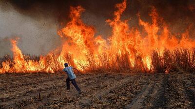 Workers in Atencingo, southern Mexico, set fire to a sugar cane field to burn away the leafy parts — a technique used before the cane is cut and harvested. Pedro Pardo / AFP Photo